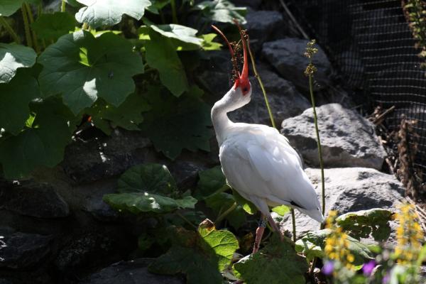 ZooPraha201108_05