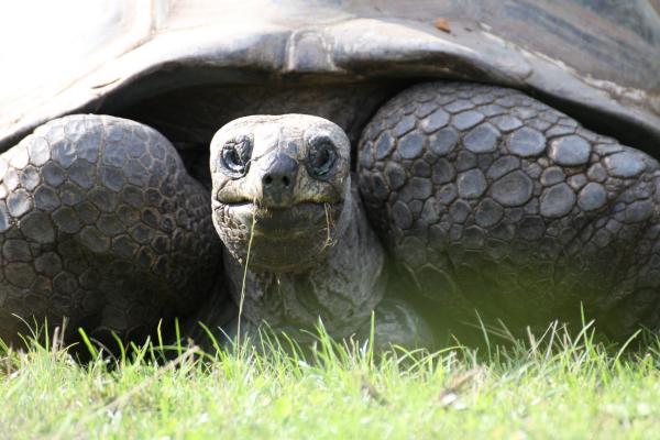 ZooPraha201108_20