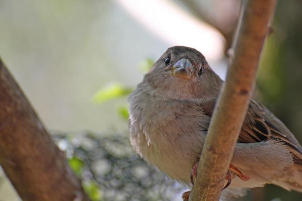 201205ZOO02