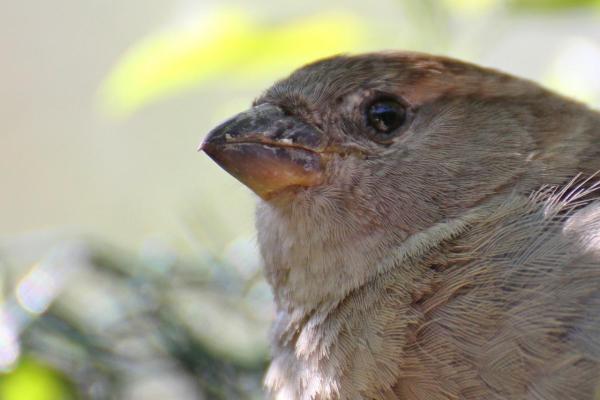 201205ZOO03