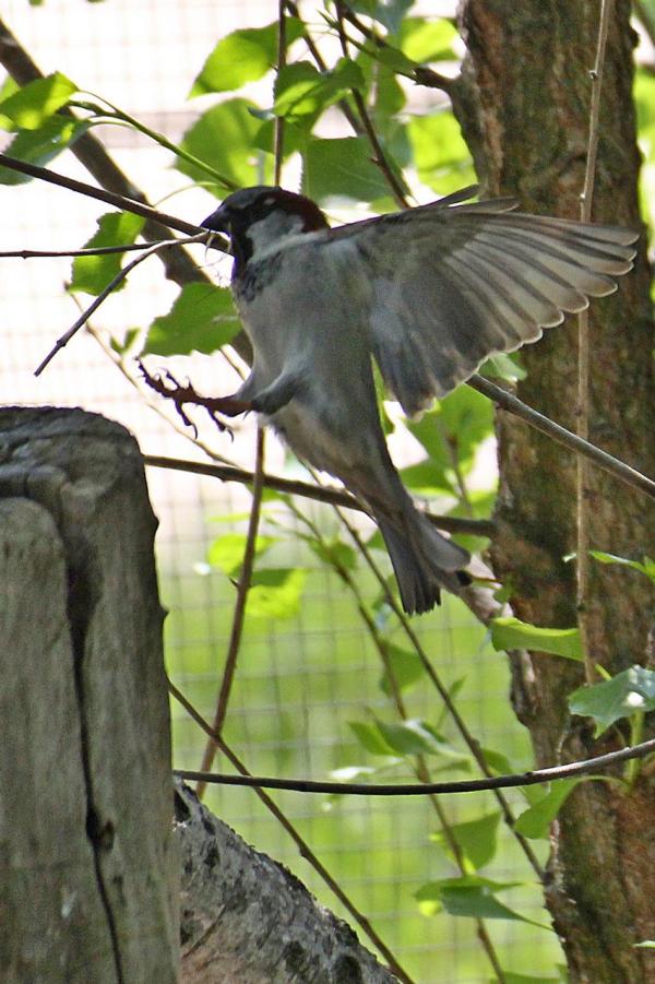 201205ZOO04