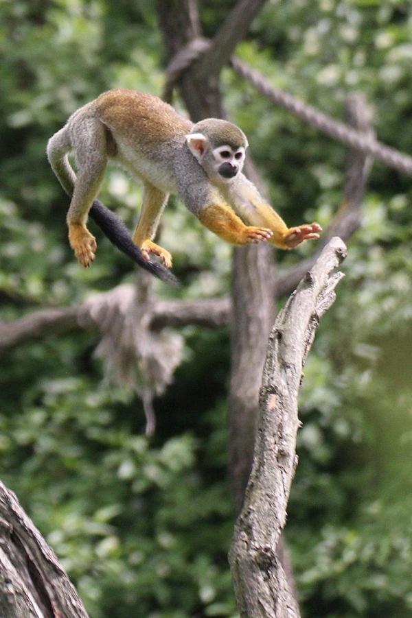 201205ZOO23