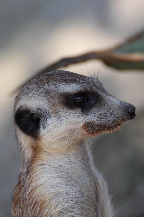 201207ZOO03