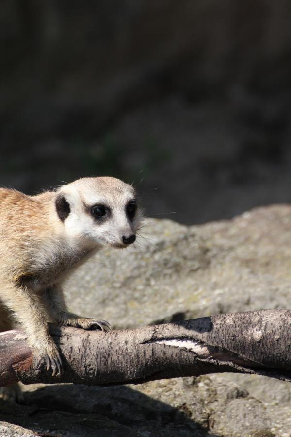 201207ZOO04