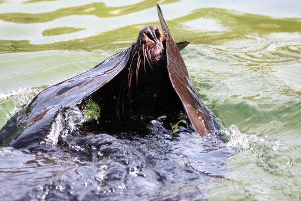 201207ZOO10