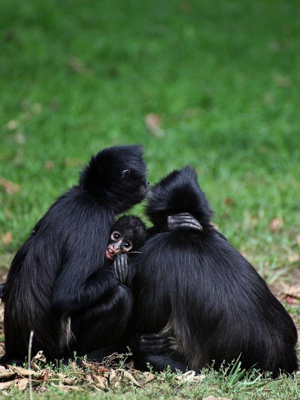 201209zoopraha02