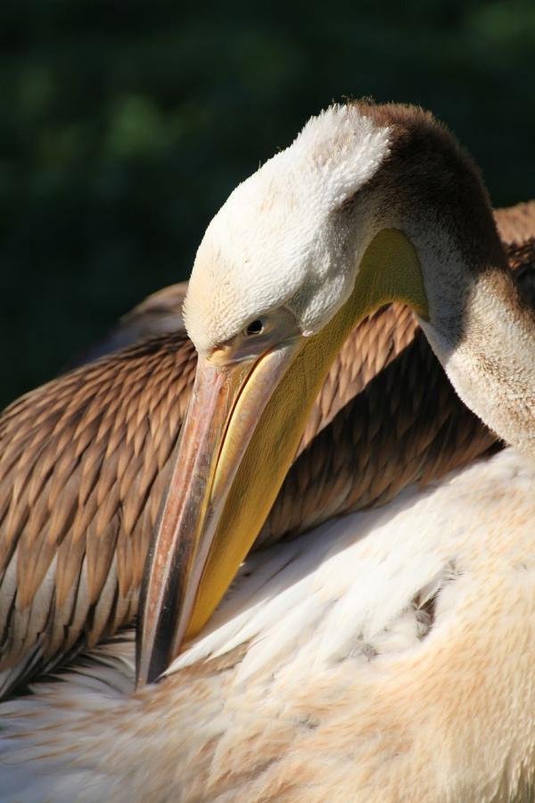 201209zoopraha18