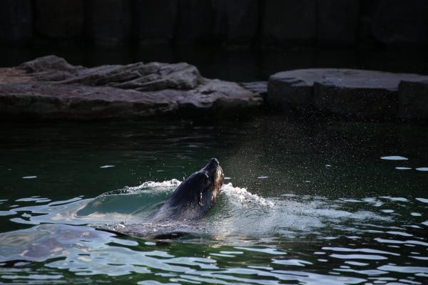 ZOOPraha201301_03