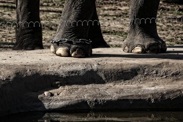 zoopraha201304_4