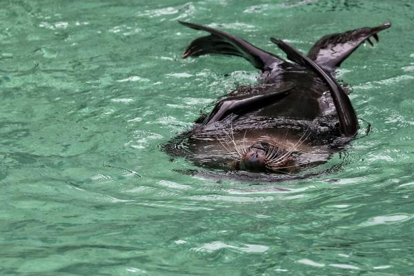 201405-ZOO-Praha-02