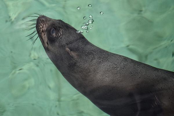 201405-ZOO-Praha-03