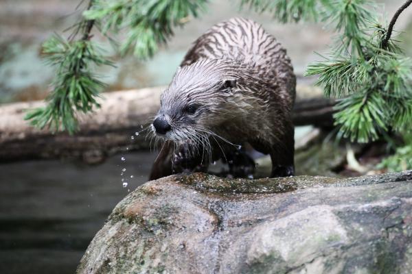 201405-ZOO-Praha-14